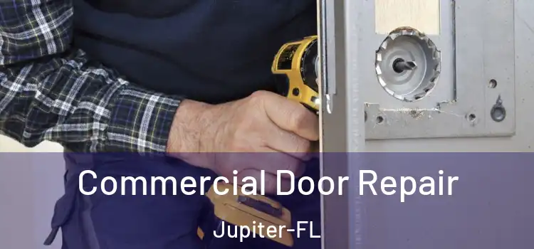  Commercial Door Repair Jupiter-FL