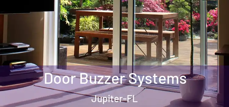 Door Buzzer Systems Jupiter-FL