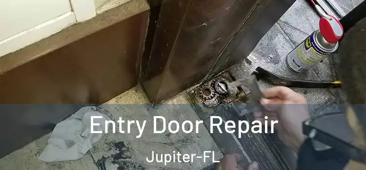  Entry Door Repair Jupiter-FL