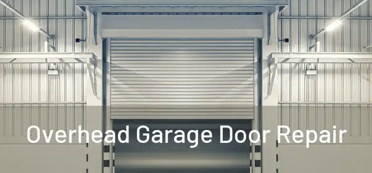 Overhead Garage Door Repair